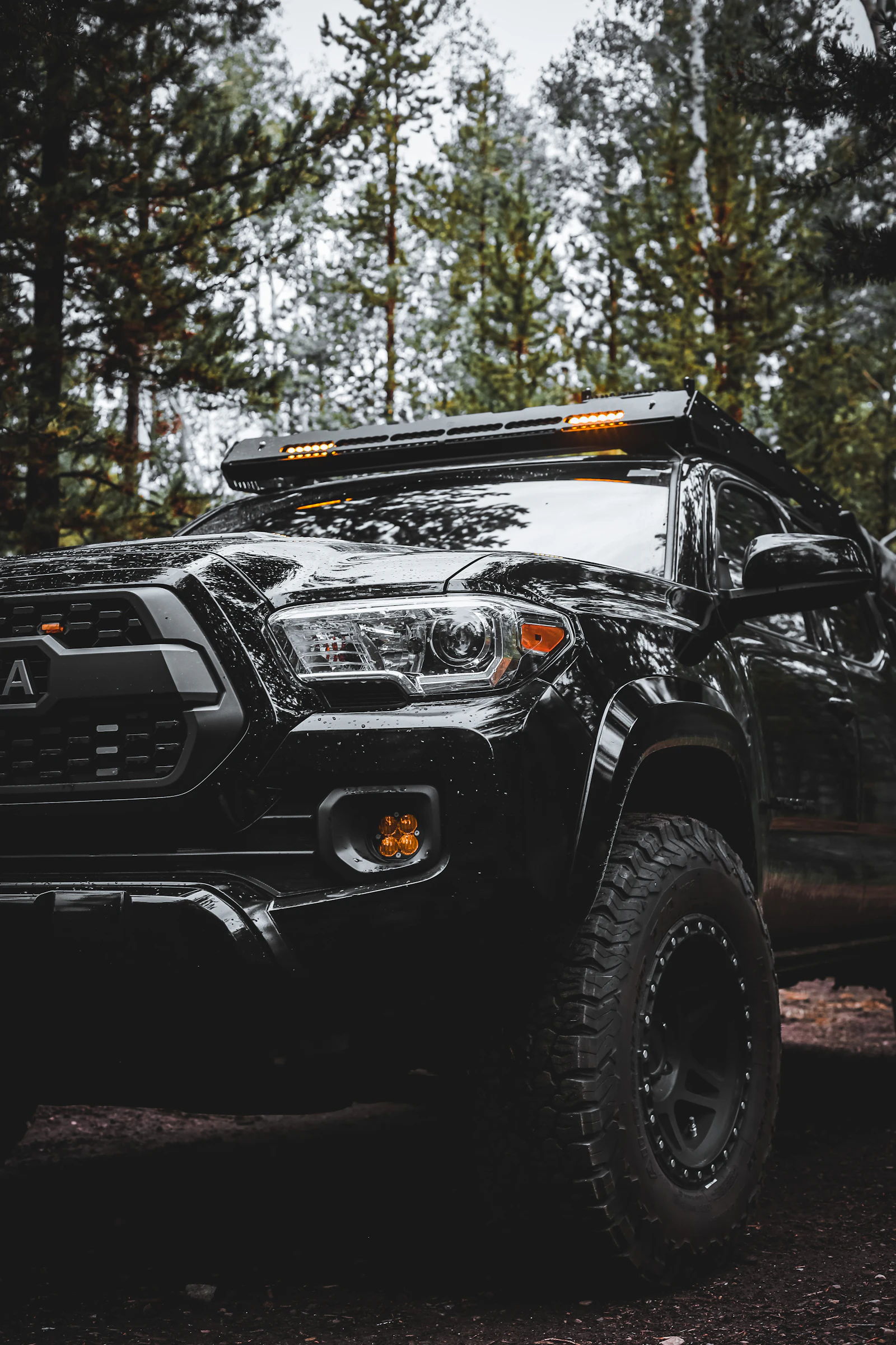 Front three-quarter view of a black off-road pickup with a roof light bar, parked among forest trees